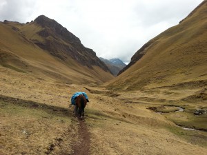 Bringing up the rear to Machu Picchu