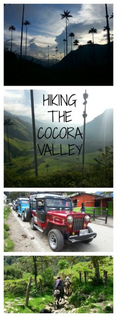 Hiking the Cocora Valley Colombia