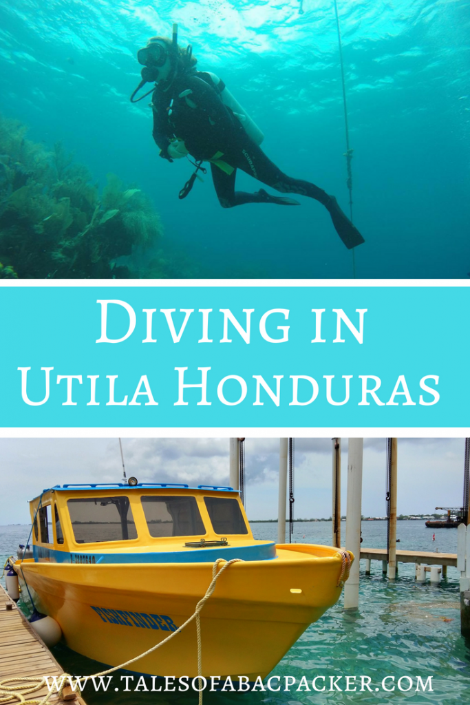 Learn more about the PADI Open water dive course with Utila Dive Center in Honduras, a great place for scuba diving lessons in Central America! Diving in Utila Honduras was a wonderful experience. #diving #scubadiving #Utila #Honduras #CentralAmerica #PADI