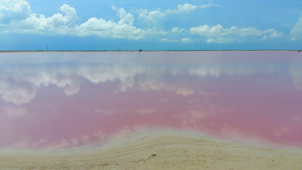 Gorgeous pink lakes and reflections at las Coloradas - near Rio Legartos Mexico