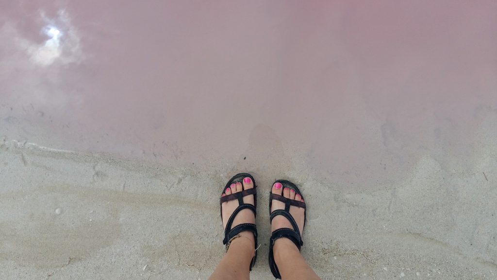 Pink toes, pink water. The pink lakes at las Coloradas - near Rio Legartos Mexico