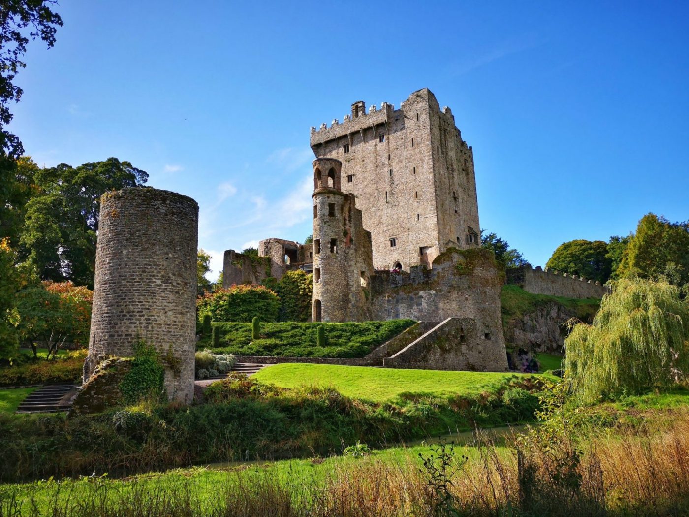 limerick to blarney castle tour