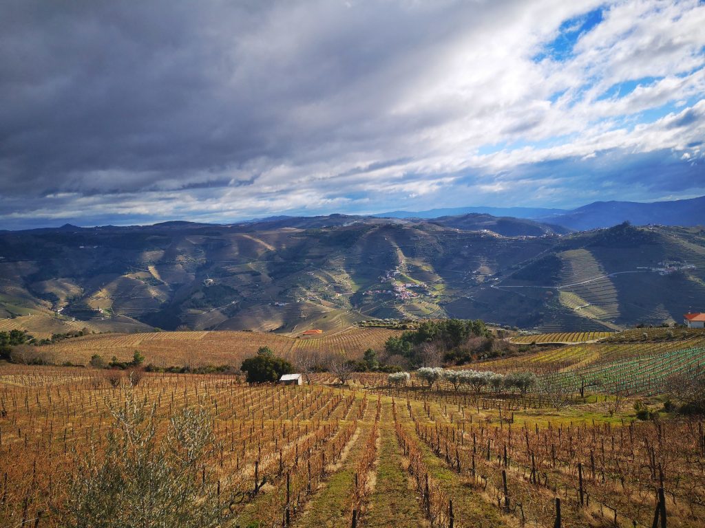 A Sunny Winter Day in the Douro Valley