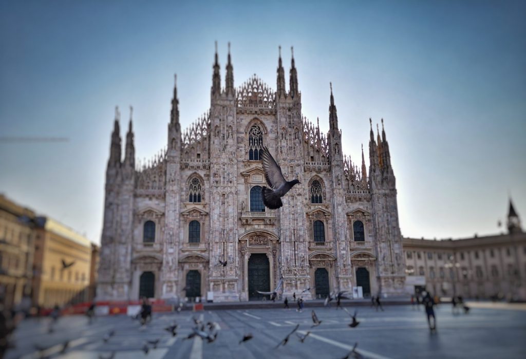 Il Duomo di Milan Cathedral and Pigeon