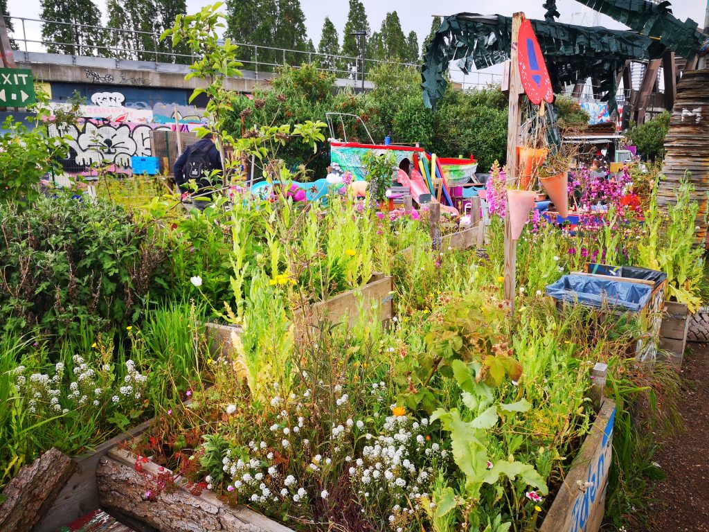 The Nomadic Community Garden is also a garden as well as a street art gallery