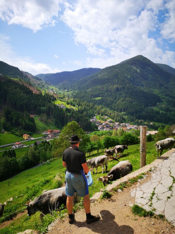 Marco and his Cows - Reasons to Visit Trentino