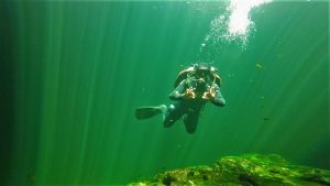 Cenote Diving in Tulum Mexico
