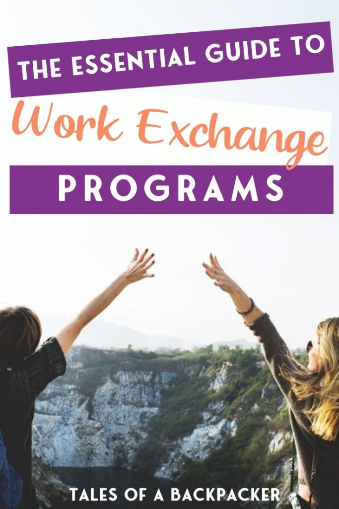 the Essential Guide to Work Exchange Programs Pin