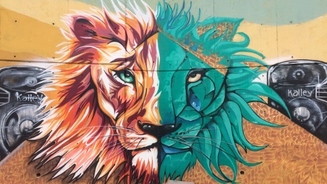 Street Art in Medellin Colombia