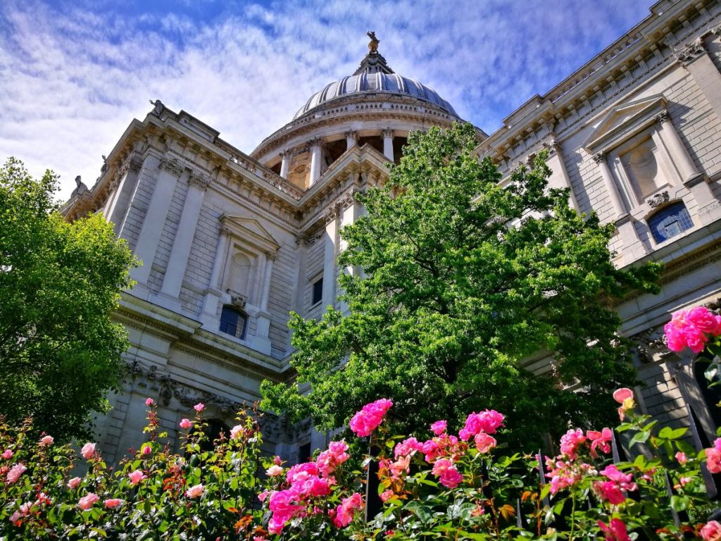 How Many Days in London - St Paul's Cathedral with Roses