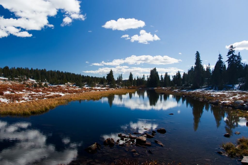Yellowstone National Park - the Best National Parks to Visit in Winter in the USA