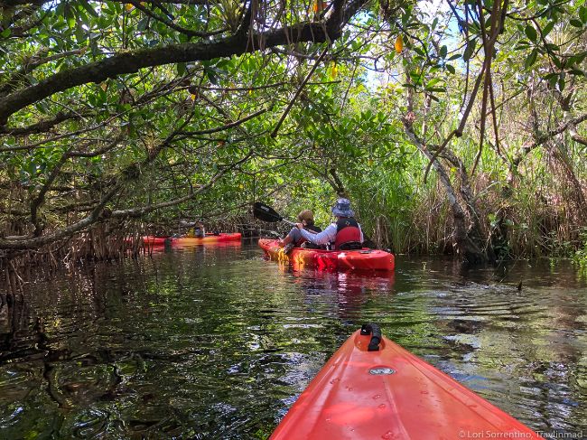 Everglades National Park Florida - National Parks in Spring Credit Travlinmad