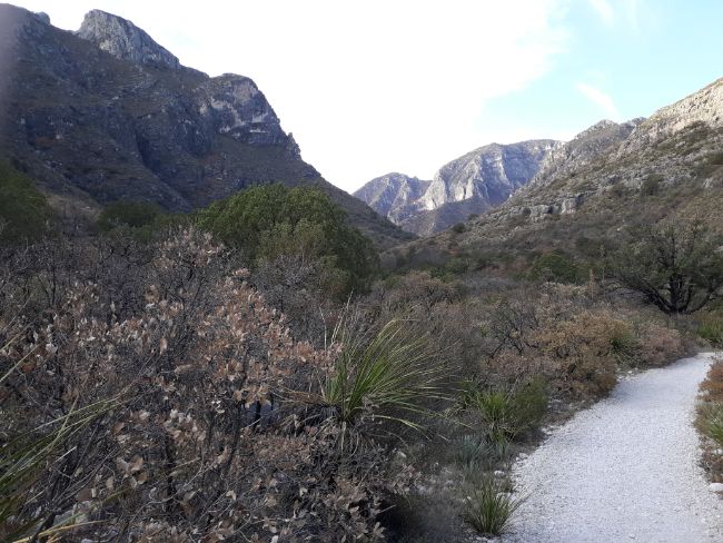 Guadalupe Mountains National Park