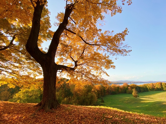 Hudson Valley view from Vanderbilt mansion grounds