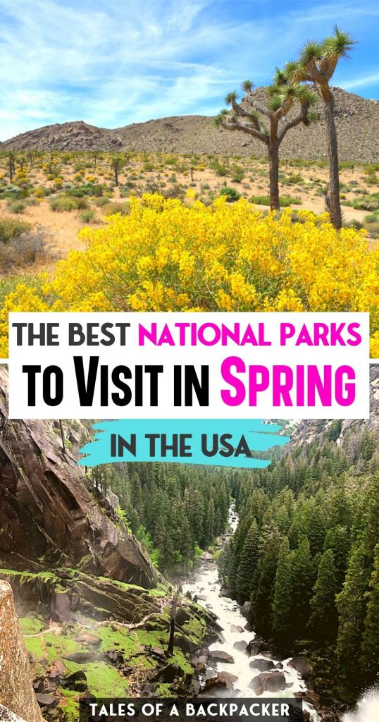 The Best National Parks to Visit in Spring in the USA