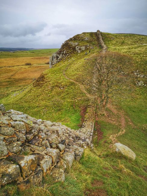 Visiting Hadrians Wall on my Road Trip around England - Old Brick Wall running down a hill with a Tree at the bottom