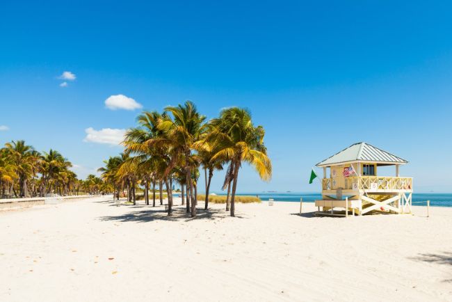 Crandon Park Beach - How to Enjoy Miami for Free