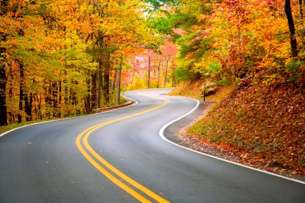 The Best East Coast Road Trips in the USA - Image of a road curving through fall foliage