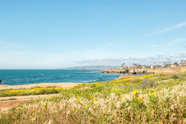 View from the Pacific Coast Highway on the way from LAto San Diego - Green grass with the blue sea beyond