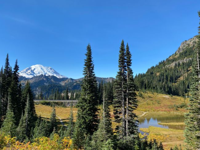 Mount Rainier National Park