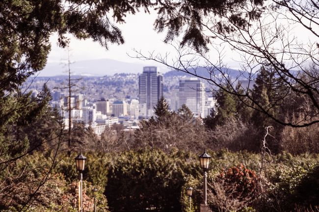 Skyline of Portland Oregon with tree branches framing the photo