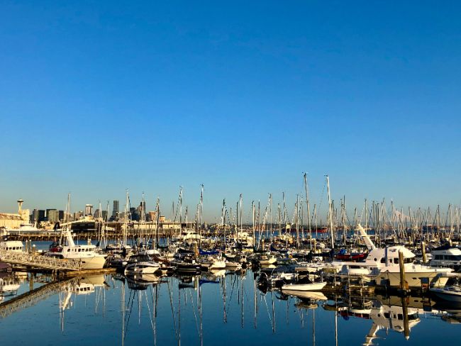 Seattle skyline and Mount Rainier from Eliot Bay Marina in Seattle