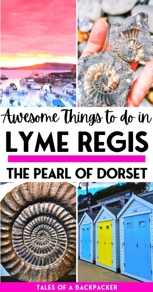 Pin for Awesome Things to do in Lyme Regis Dorset