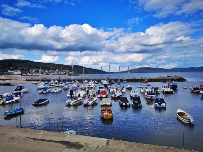 Boats in Lyme Regis Cobb marina - Things to do in Lyme Regis Dorset