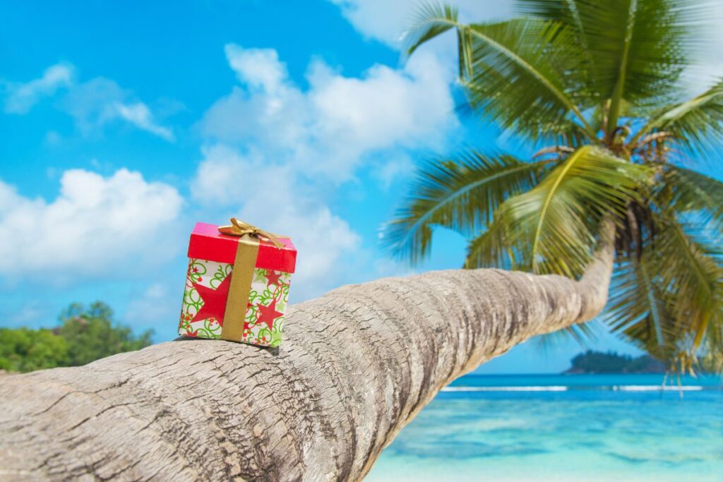 Palm tree on a beach with a boxed gift perched on the tree trunk - The Best Beach Themed Gifts for Beach Lovers