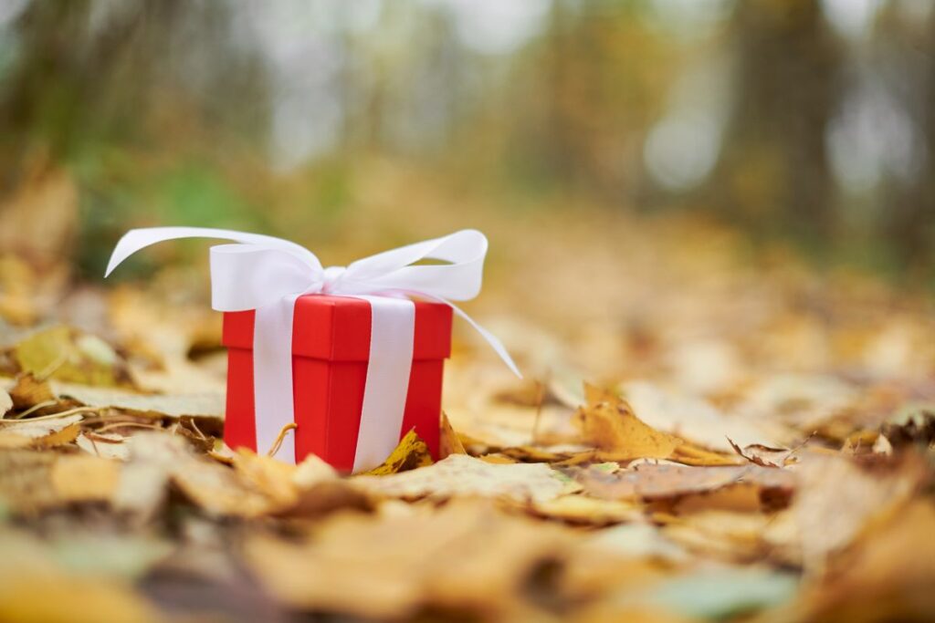 Red gift box on the floor of a forest - The Best Hiking Gifts for Hikers