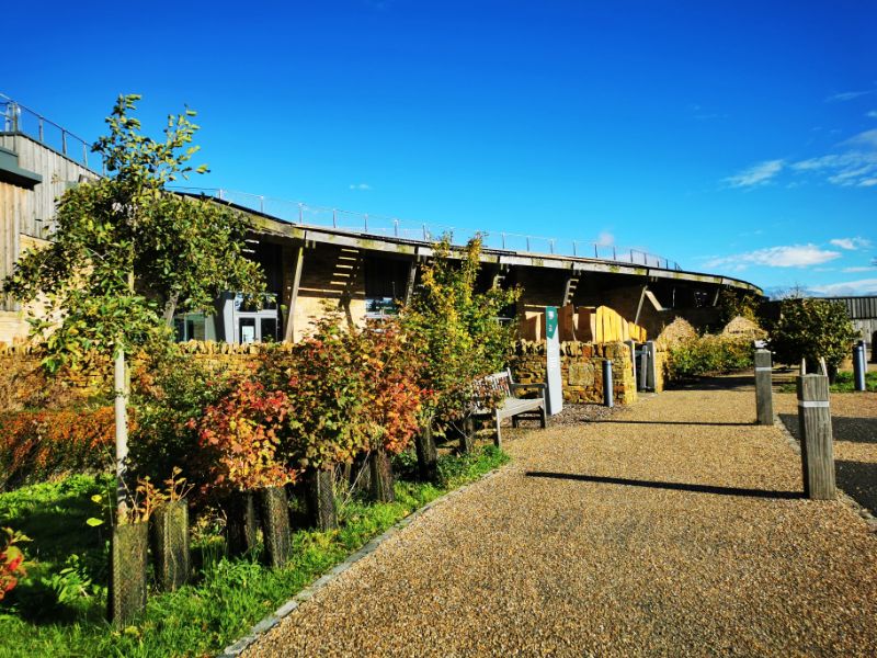 The Sill is Designed to Blend in with the Environment with plenty of trees outside and a low roof