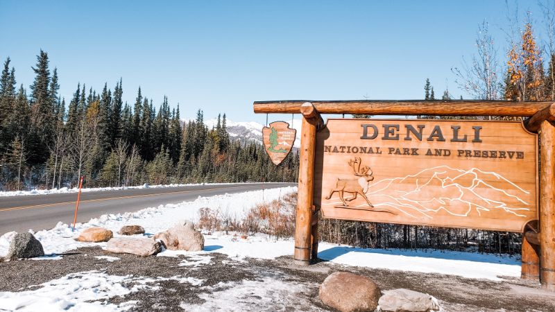 denali national park
