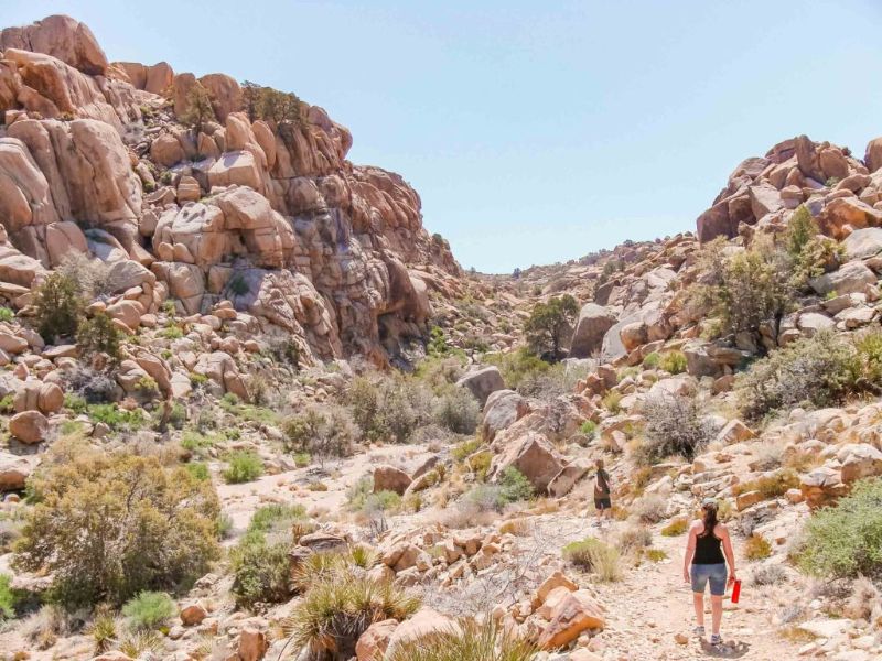 joshua tree national park