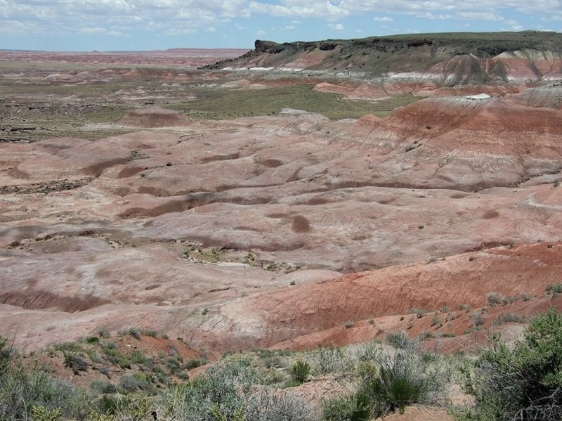 petrified forest national park landscape
