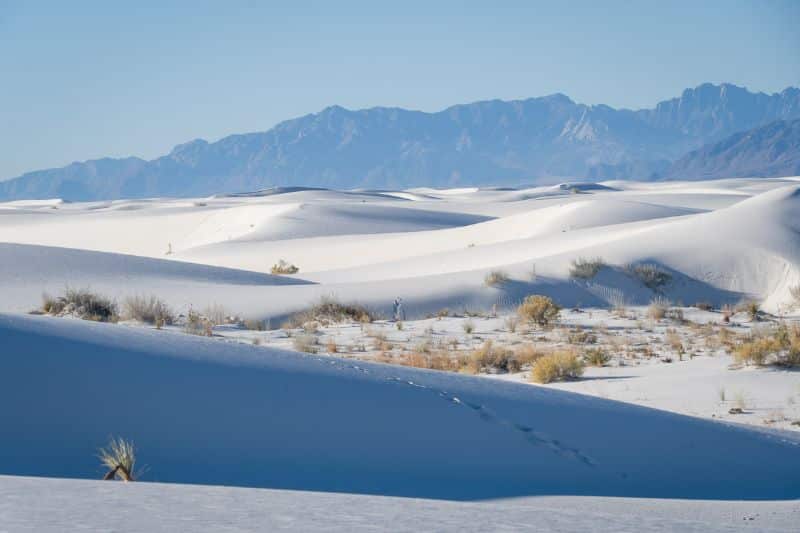 white sands national park