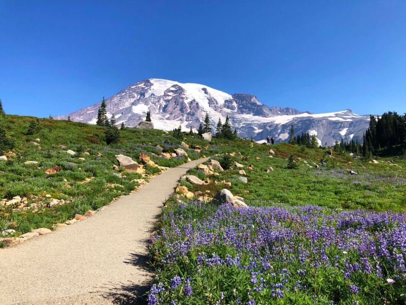 mt ranier national park