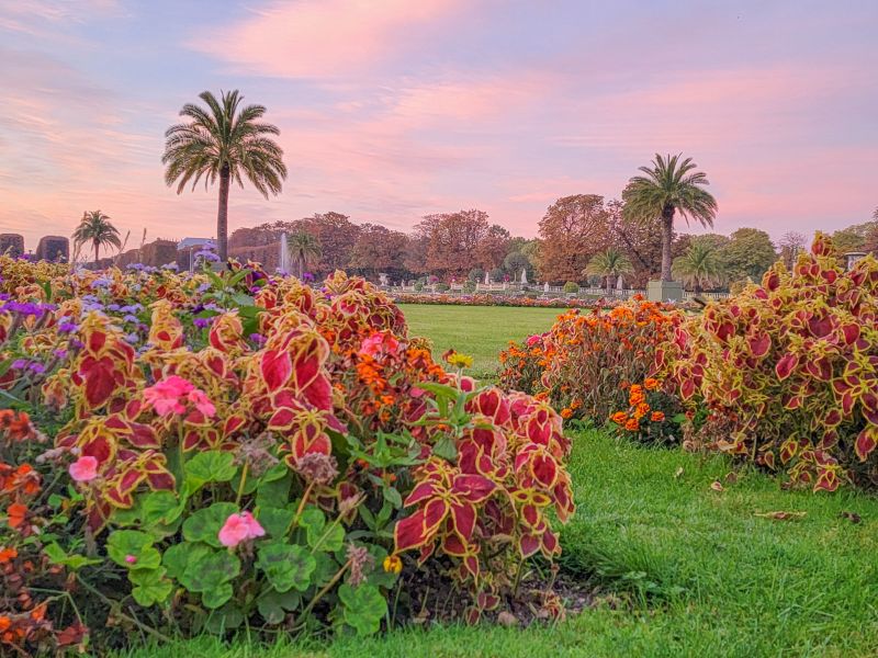 The Beautiful Jardin de Tuileries in Paris - Things to do in Paris for Free