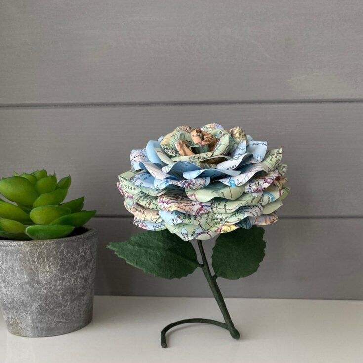 Image for World Map Rose
