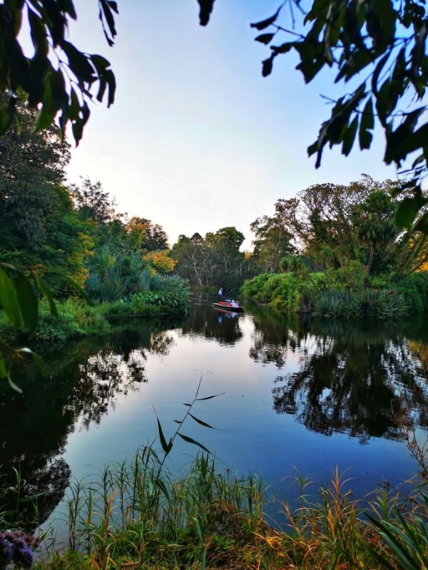 A Punt on the Lake in the Botanic Gardens Melbourne