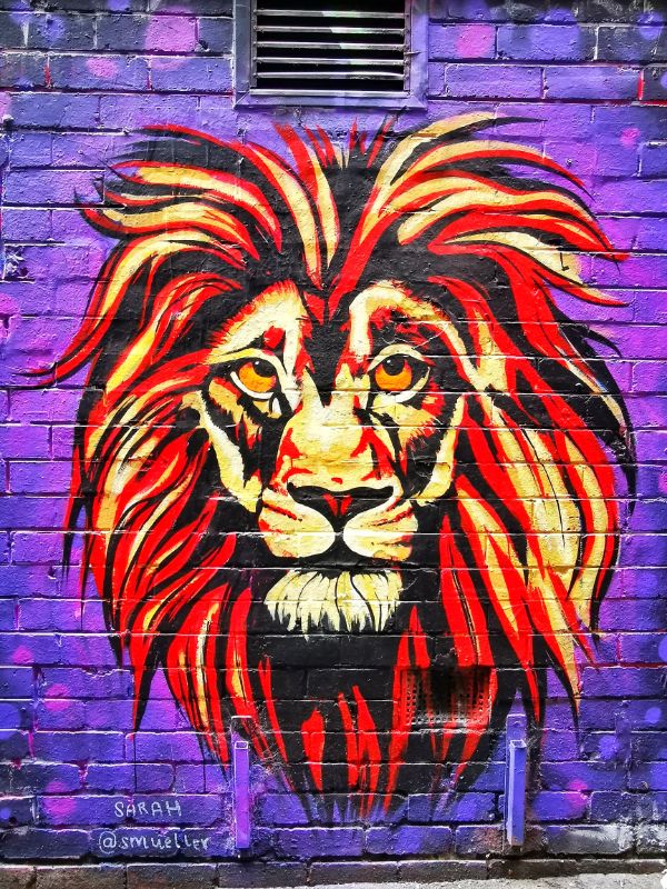 Lion Street Art - Melbourne on a Budget
