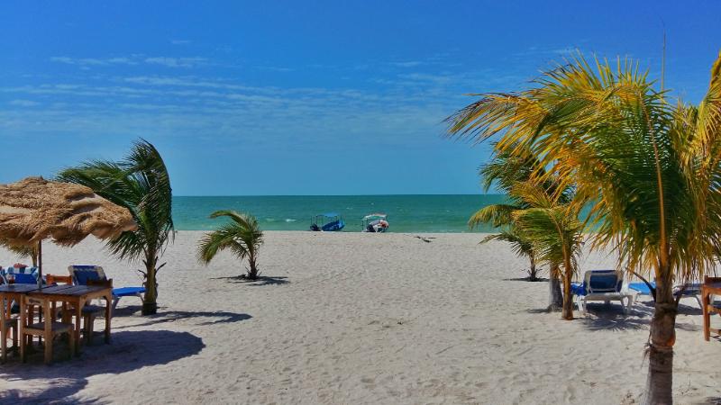 The Beach at Celestun Mexico - 2 Week Yucatan Itinerary